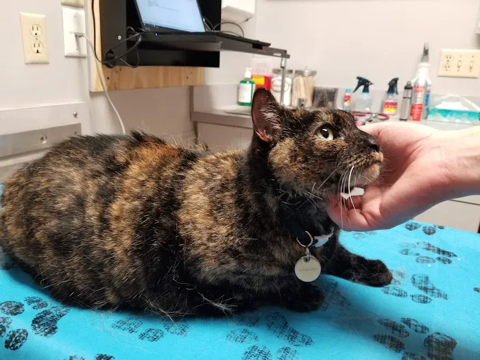 Flying Cloud Animal Hospital 4