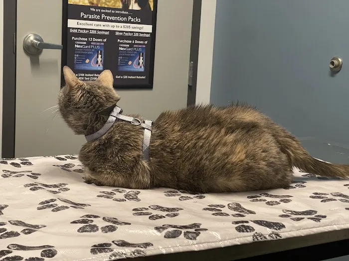 Flying Cloud Animal Hospital 3