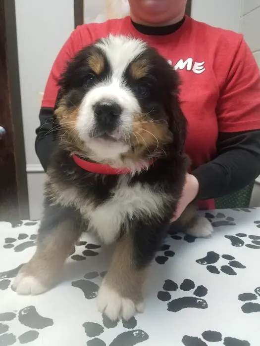 Flying Cloud Animal Hospital 9