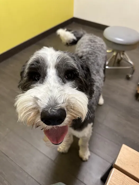 Banfield Pet Hospital 12