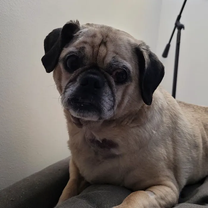 Banfield Pet Hospital 12