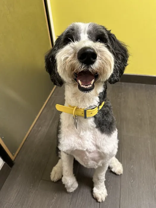 Banfield Pet Hospital 12