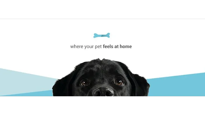 Golden Veterinary Care 8