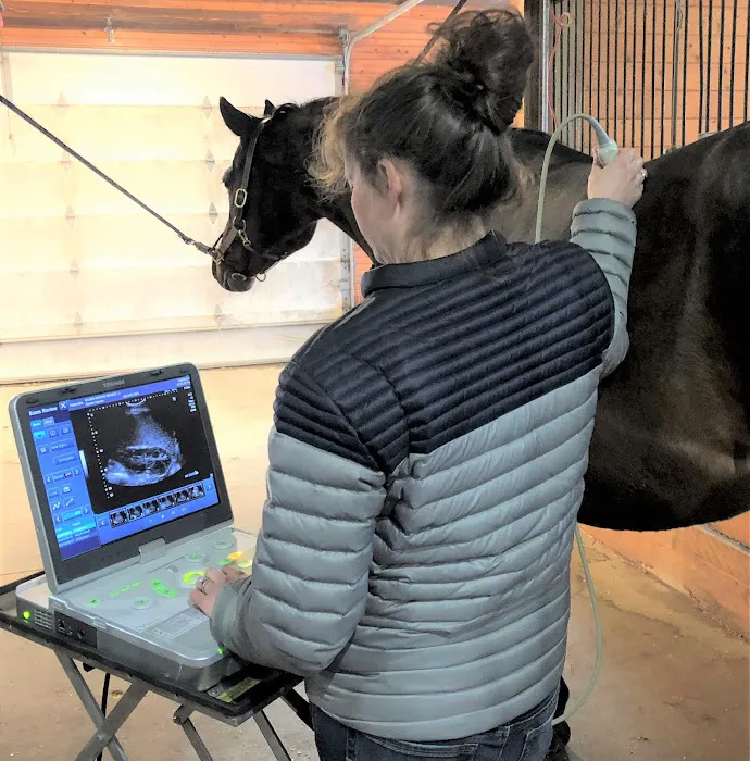 Renier Equine Veterinary Services 3