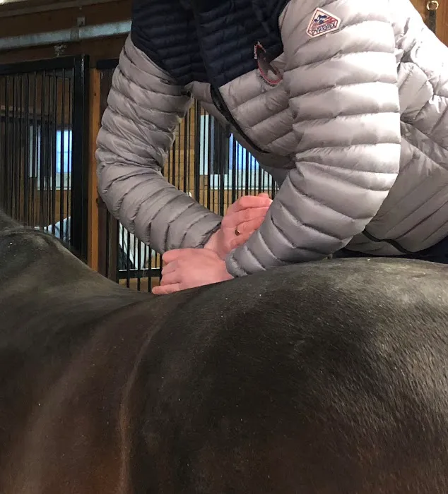 Renier Equine Veterinary Services 1