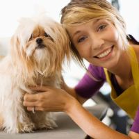 VCA Animal Wellness Center of Maple Grove ico