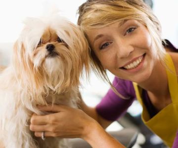 VCA Animal Wellness Center of Maple Grove