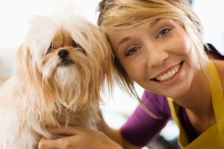 VCA Animal Wellness Center of Maple Grove