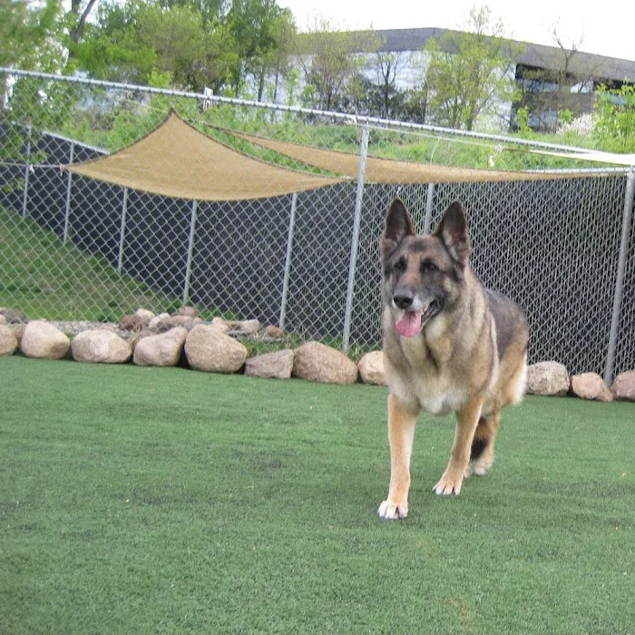 VCA Animal Wellness Center of Maple Grove 12