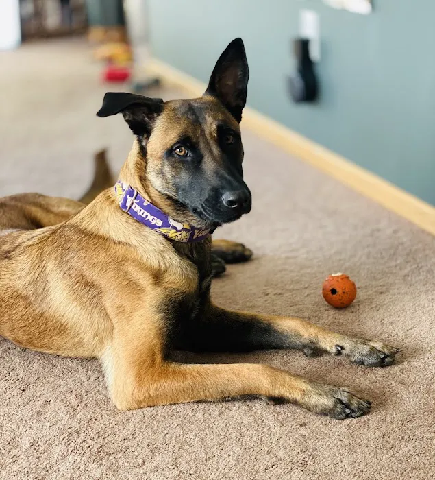 WellHaven Pet Health Maple Grove, MN 2