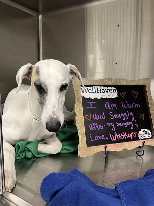 WellHaven Pet Health Maple Grove, MN 3