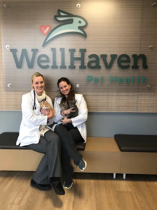 WellHaven Pet Health Maple Grove, MN 10
