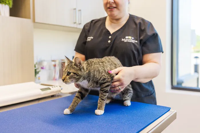Maple Grove Pet Hospital 3