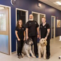 Maple Grove Pet Hospital ico