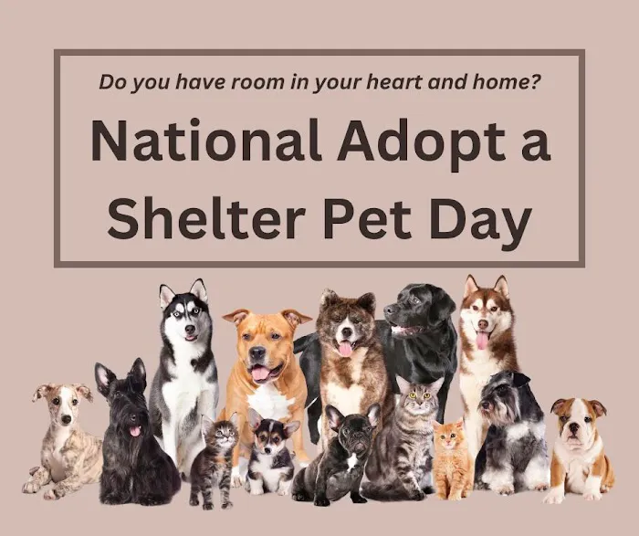 Maple Grove Pet Hospital 10