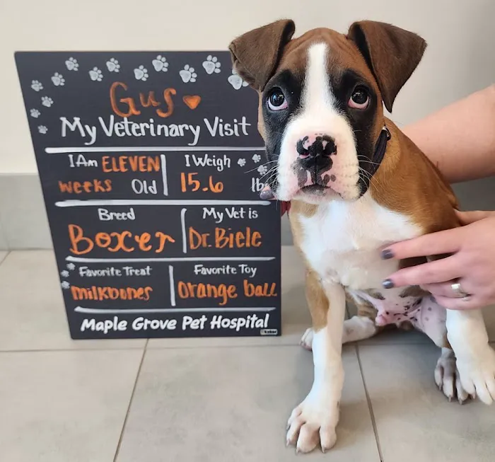 Maple Grove Pet Hospital 9