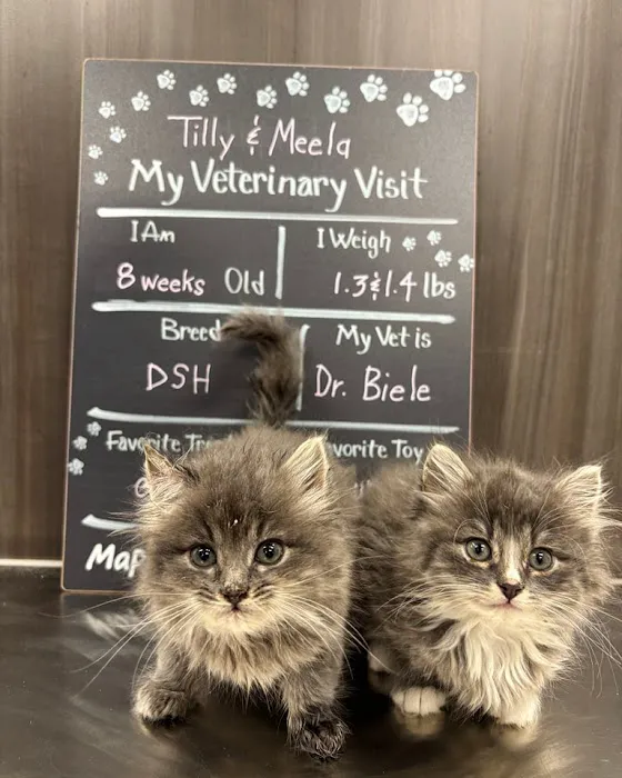 Maple Grove Pet Hospital 8