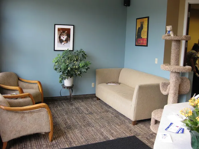 Cats Preferred Veterinary Hospital 9