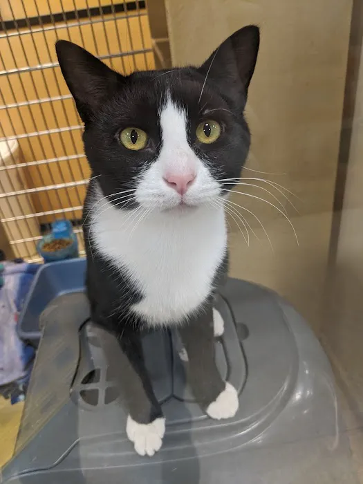 Banfield Pet Hospital 12