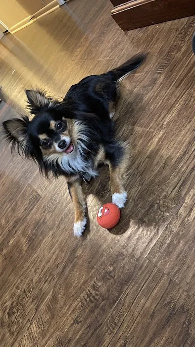 Banfield Pet Hospital 12