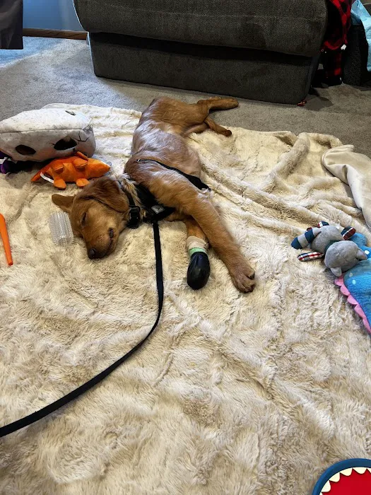 Banfield Pet Hospital 12