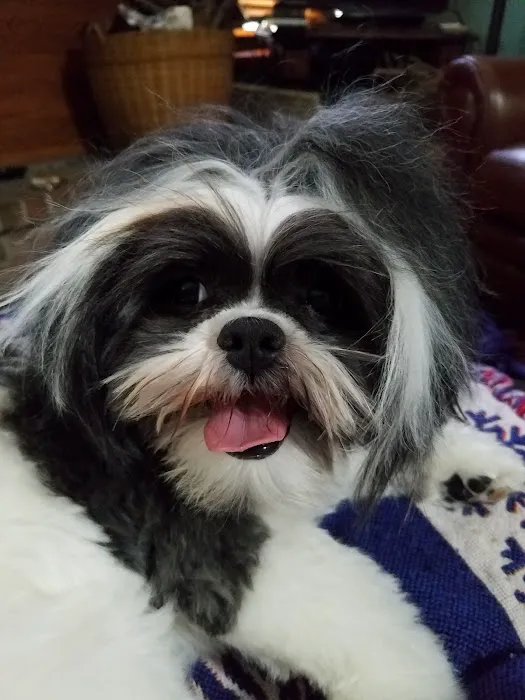 Banfield Pet Hospital 12