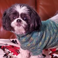 Banfield Pet Hospital ico