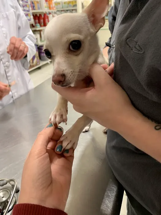 Vetco Vaccination Clinic 12