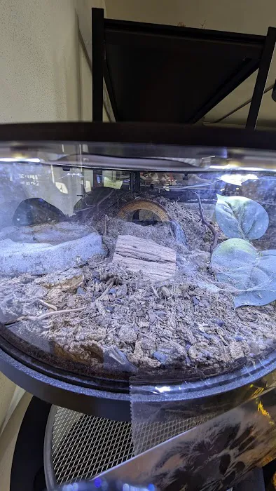 HERPS Exotic Reptile and Pet Shop 12