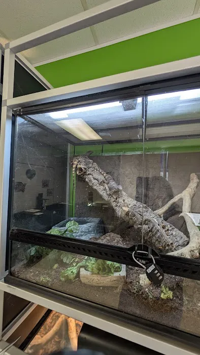 HERPS Exotic Reptile and Pet Shop 12