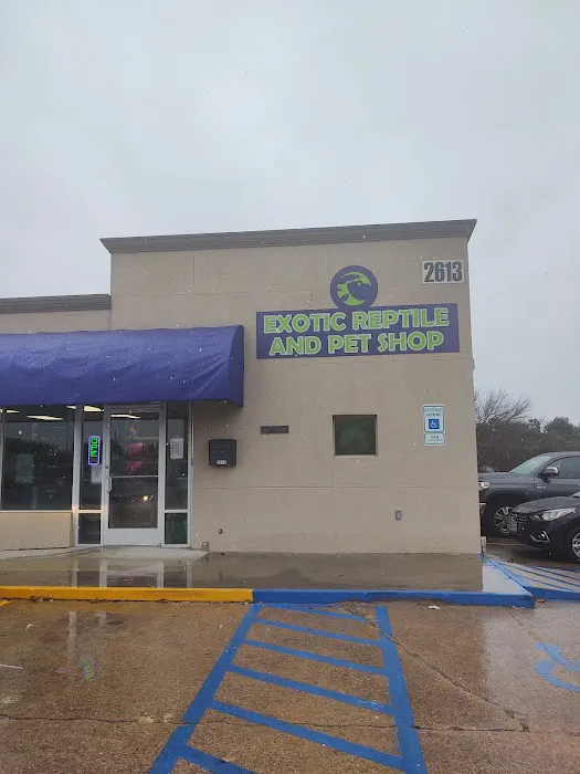 HERPS Exotic Reptile and Pet Shop 12