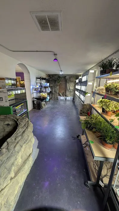 HERPS Exotic Reptile and Pet Shop 12