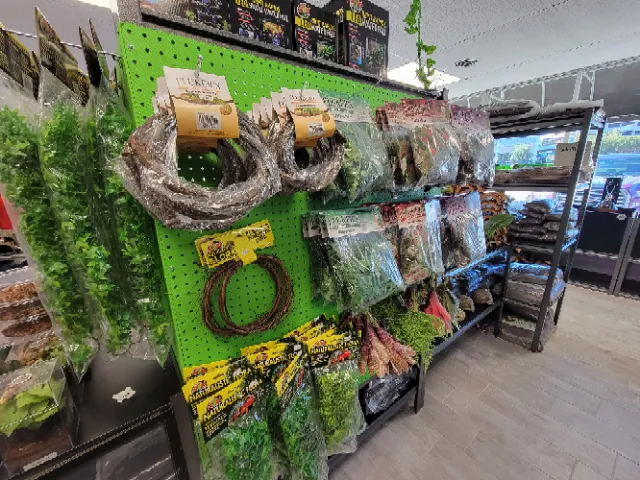 HERPS Exotic Reptile and Pet Shop 12