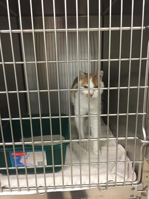 Champlin Park Pet Hospital 10