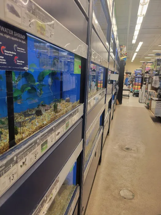 Petco 12