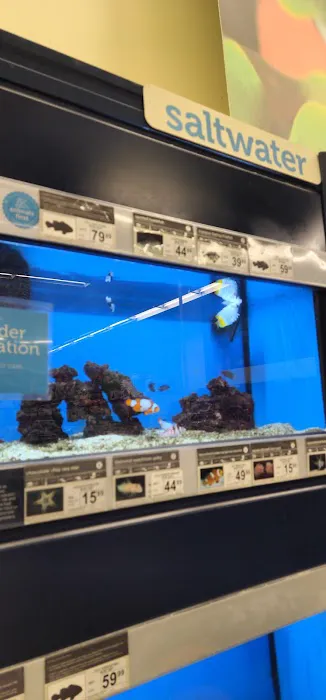 Petco 12