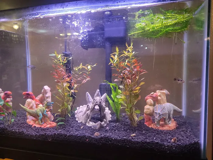 Petco 12