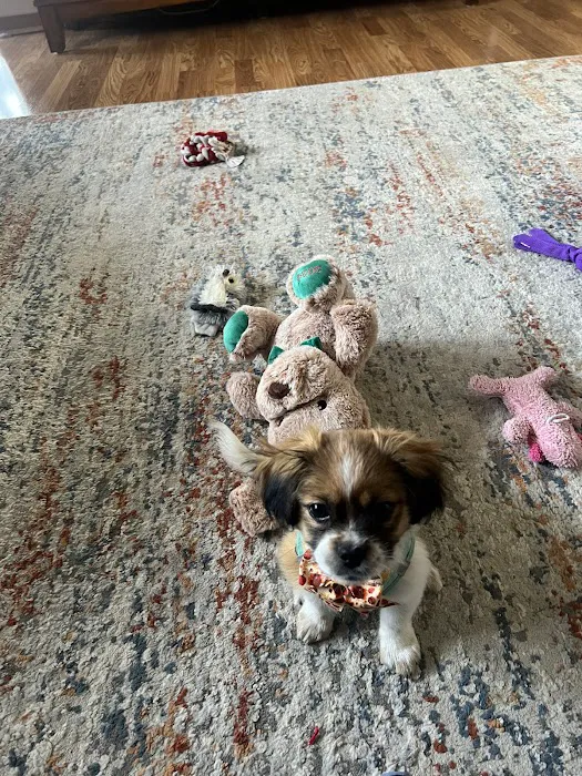 Banfield Pet Hospital 7