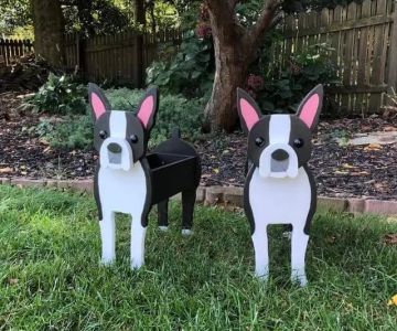 Boston Terriers of Texas