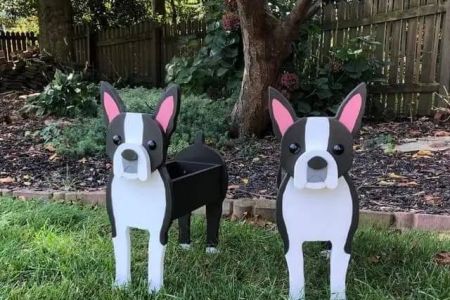 Boston Terriers of Texas
