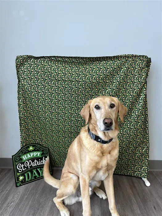 Hometown Veterinary Partners Champlin 12