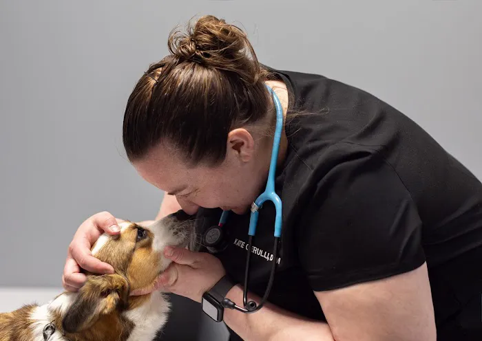 Hometown Veterinary Partners Champlin 12