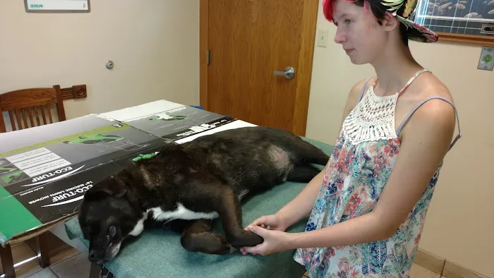 VCA PineRidge Animal Hospital 12