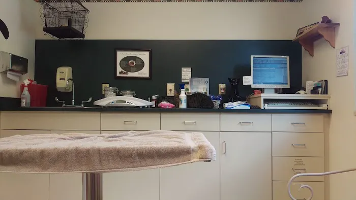 VCA PineRidge Animal Hospital 12