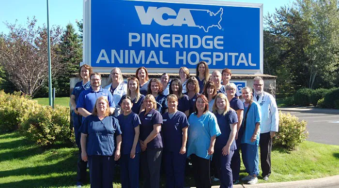 VCA PineRidge Animal Hospital 12