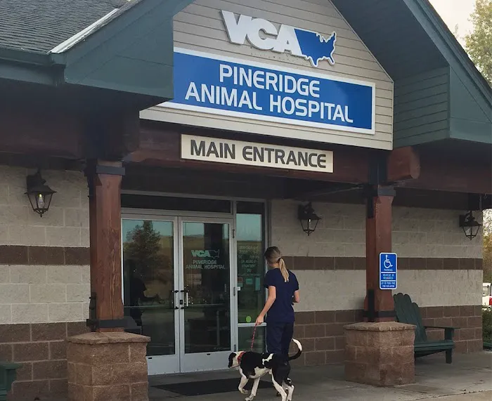 VCA PineRidge Animal Hospital 12
