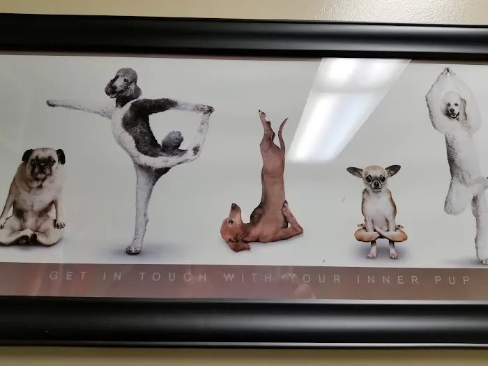 Elm Creek Animal Hospital 7