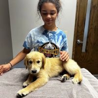 Elm Creek Animal Hospital ico
