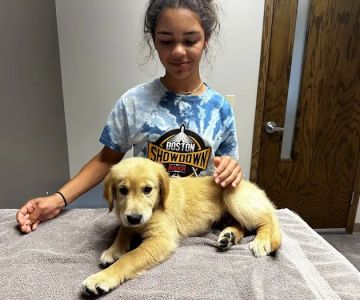Elm Creek Animal Hospital