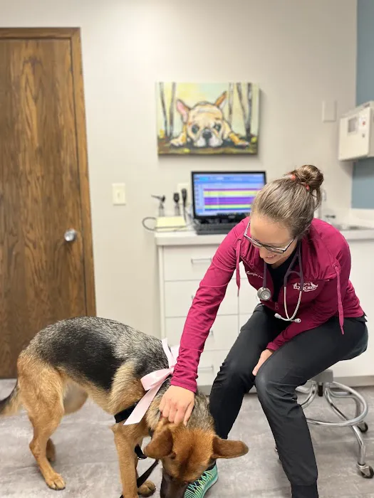 Elm Creek Animal Hospital 4